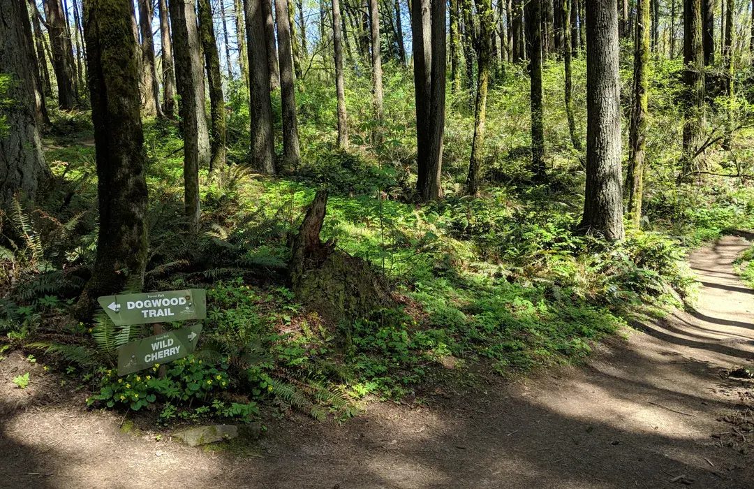 Forest trail signage in the Whatcom County backcountry