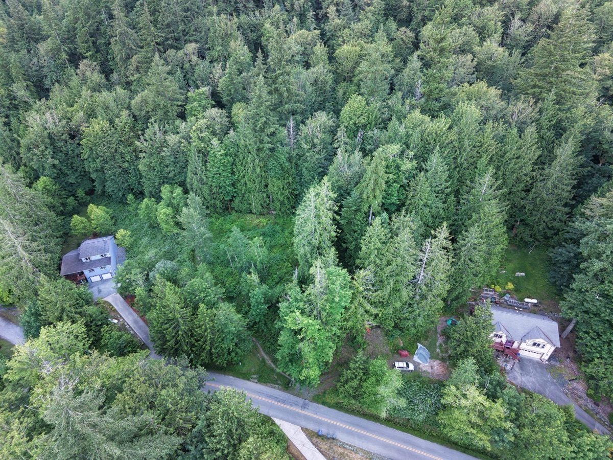 Additional unannotated aerial photograph of Lots 15 and 16 and the surrounding forest